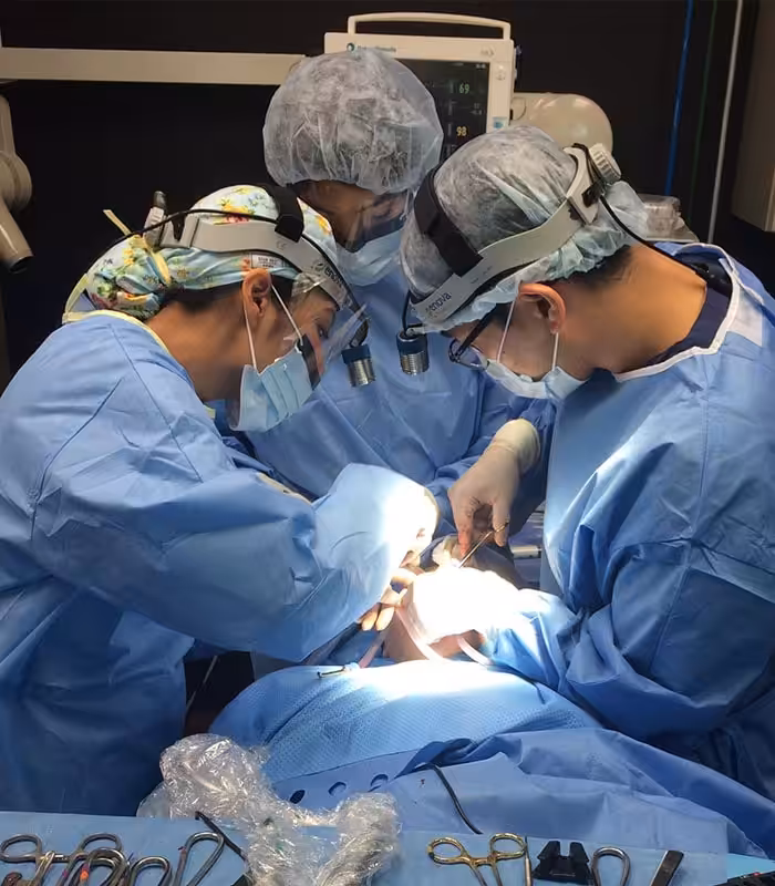 Drs working photo1